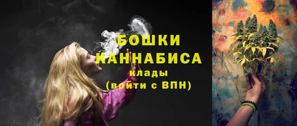 шишки Баксан