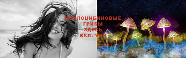 шишки Баксан
