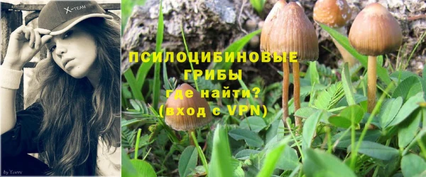 шишки Баксан