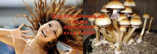 круглые Балахна