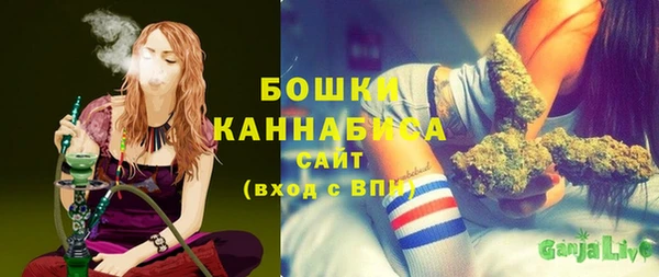 шишки Баксан
