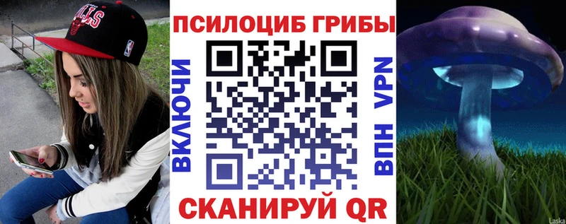 Псилоцибиновые грибы мицелий  Петушки 
